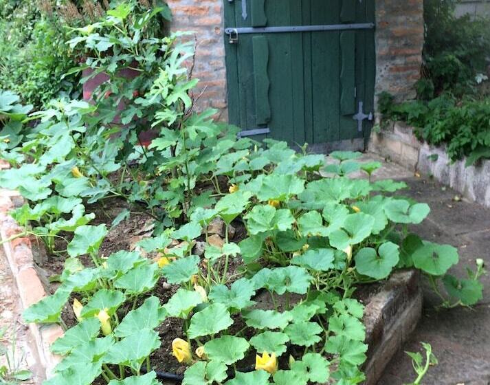 乡村酒店 Farmotel Stefania