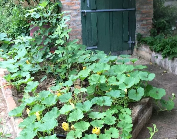 田舎風ホテル Farmotel Stefania