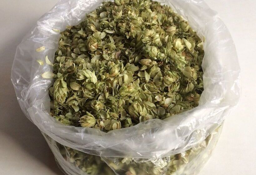 田舎風ホテル Farmotel Stefania