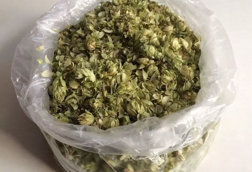 田舎風ホテル Farmotel Stefania