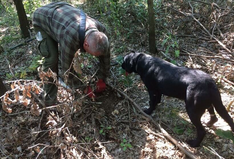 فندق ريفى Farmotel Stefania