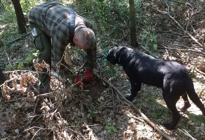 田舎風ホテル Farmotel Stefania