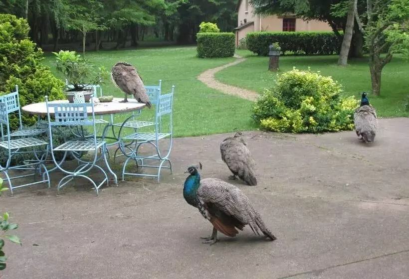 Majatalo La Faisanderie