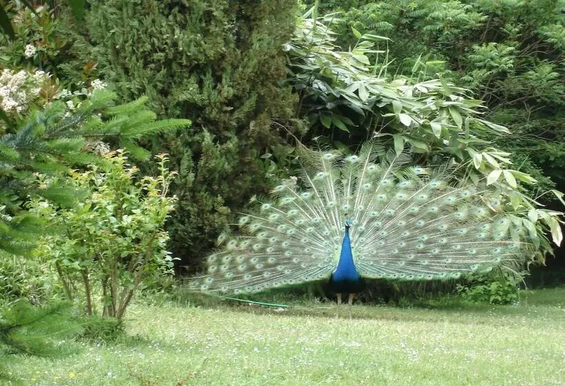 Majatalo La Faisanderie