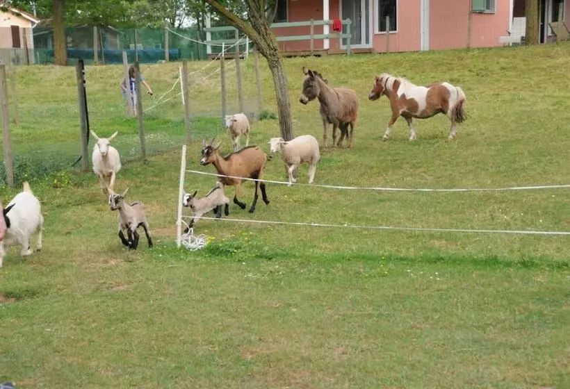 Lomakeskus Le Hameau Des Genets