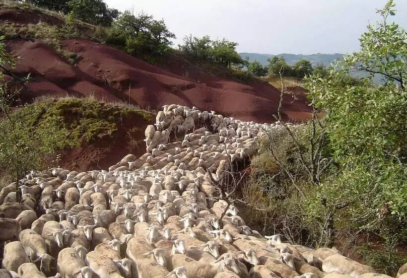 Lomakeskus Le Hameau Des Genets