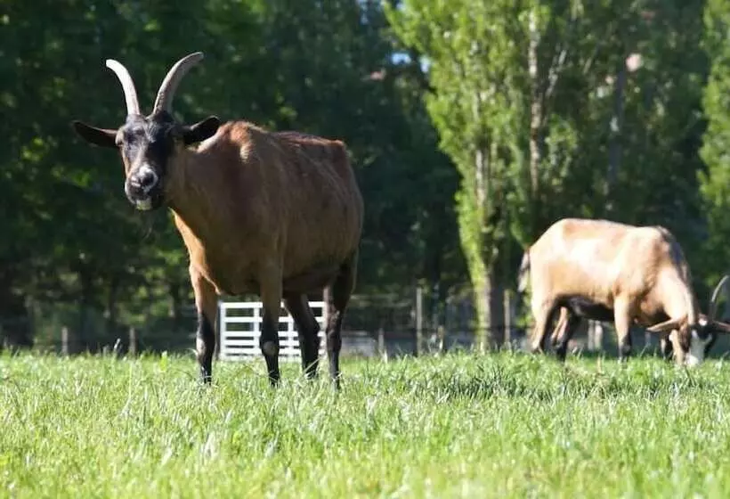 Lomakeskus Le Hameau Des Genets