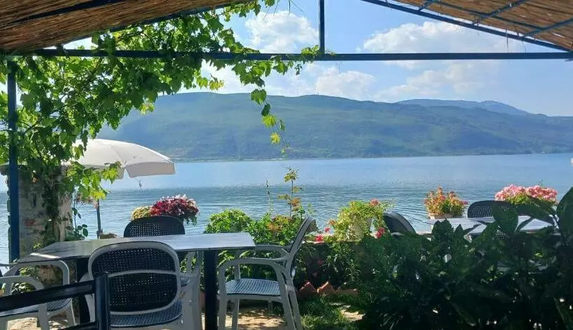 ベッドアンドブレックファースト Nesti Relax Home