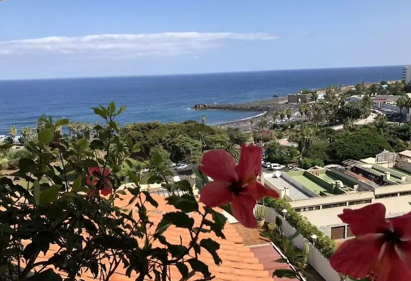 Apartamentos Bahia Playa