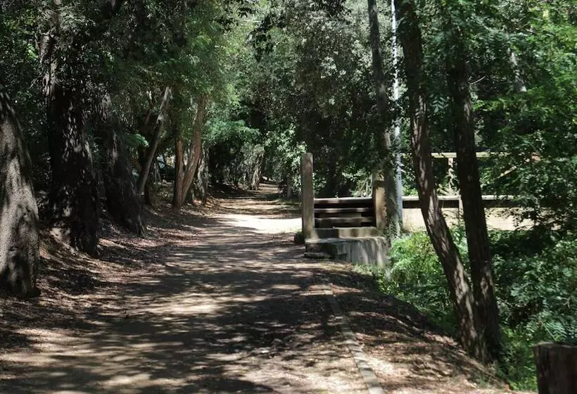 Apartamentos Mar De Tossa