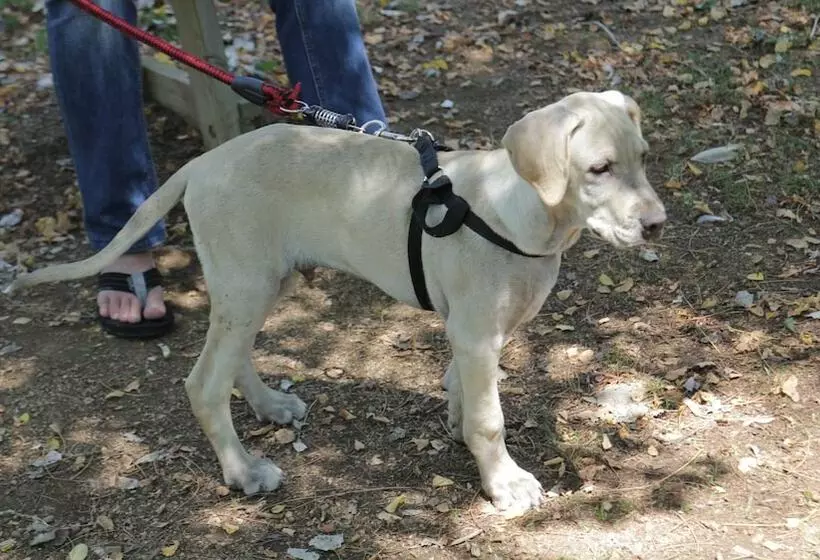 Apartamentos Mar De Tossa