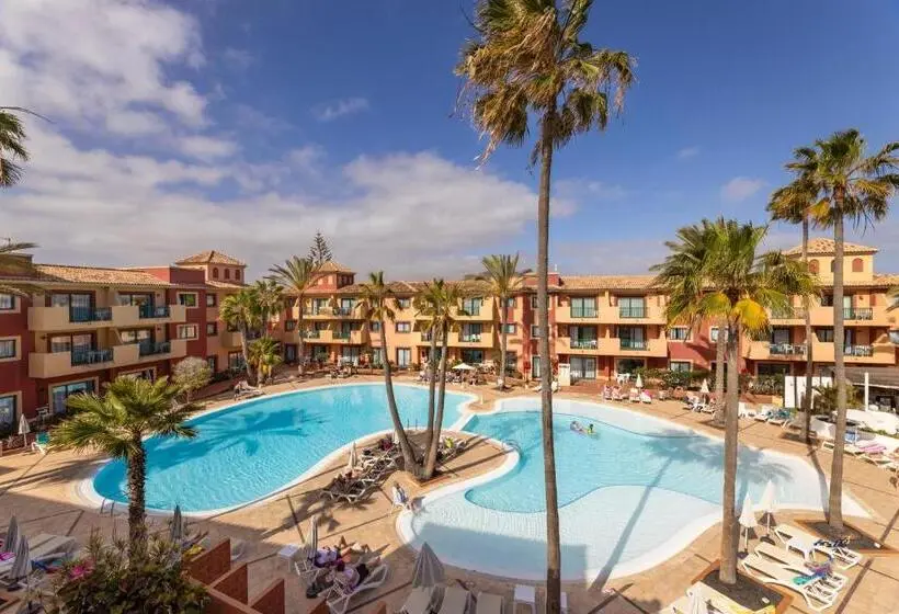 Bluesea Aloe Corralejo