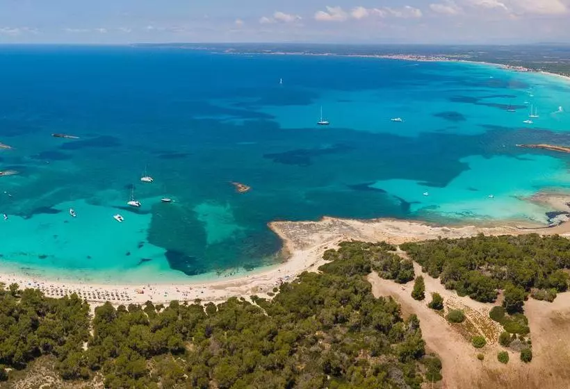 Отель blau colònia sant jordi