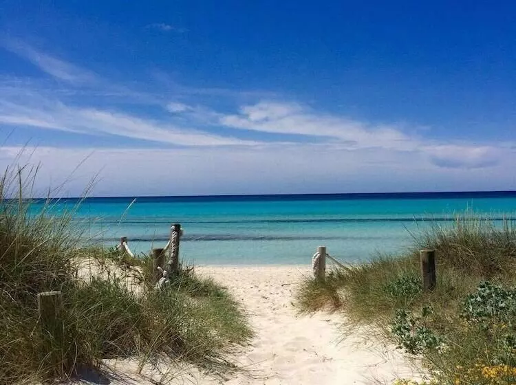 Отель blau colònia sant jordi