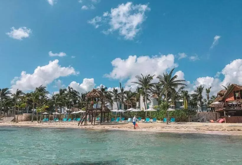 호텔 Margaritaville Island Reserve Riviera Cancún A Karisma - All Inclusive Experience For All