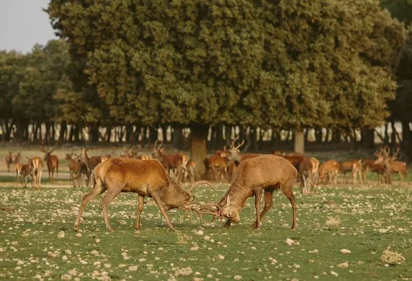 酒店 & Spa Arzuaga