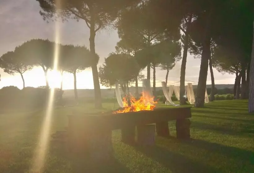 酒店 & Spa Arzuaga