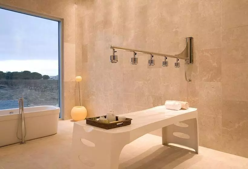 酒店 & Spa Arzuaga