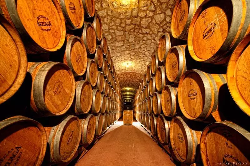 酒店 & Spa Arzuaga