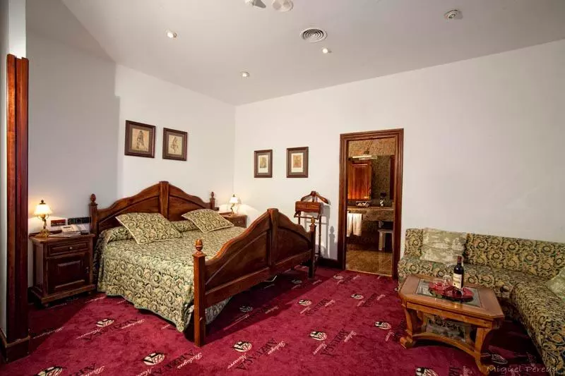 酒店 & Spa Arzuaga