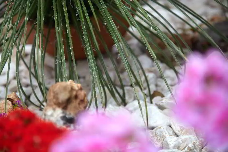 Marietta Hotel & Apartments