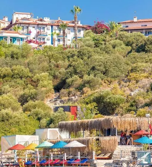 בית מלון כפרי Amphora