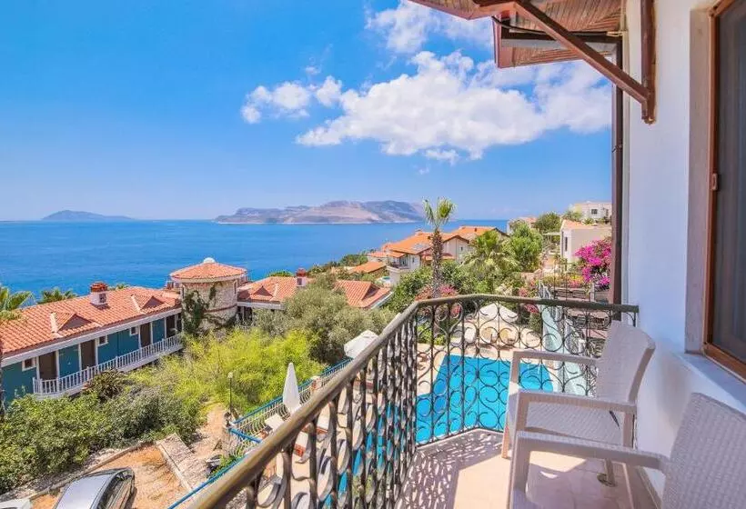 בית מלון כפרי Amphora