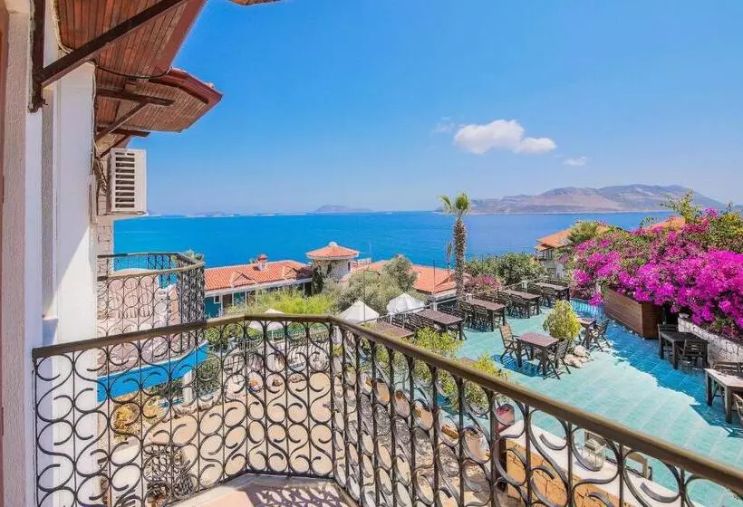 בית מלון כפרי Amphora