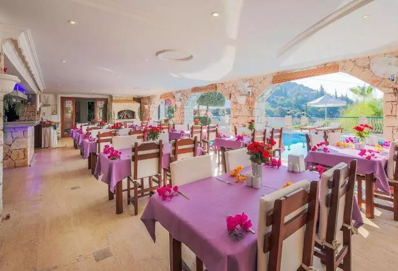 בית מלון כפרי Amphora