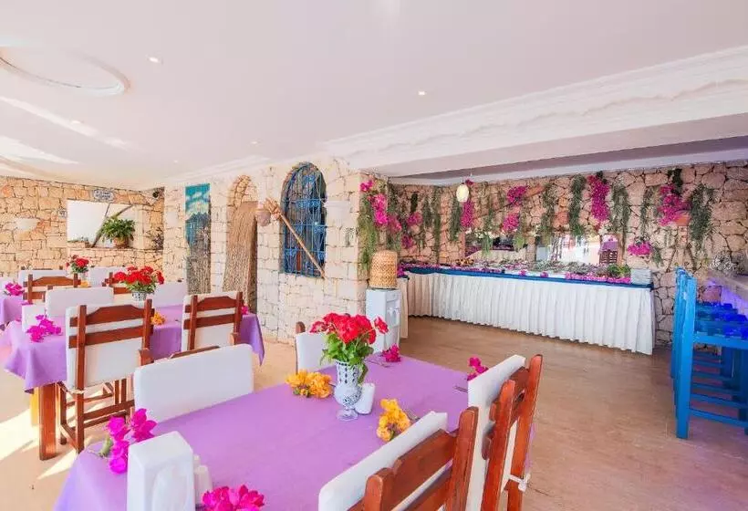 בית מלון כפרי Amphora