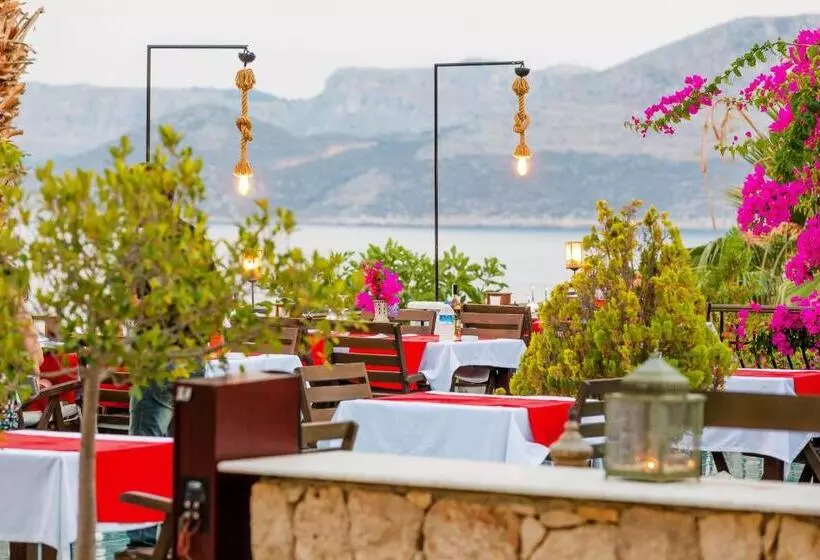 בית מלון כפרי Amphora