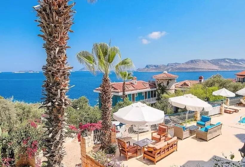 בית מלון כפרי Amphora