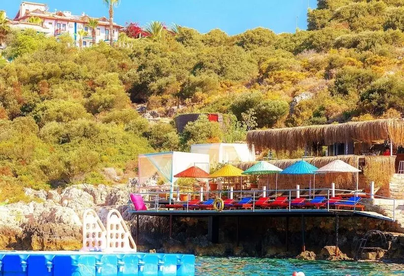 בית מלון כפרי Amphora