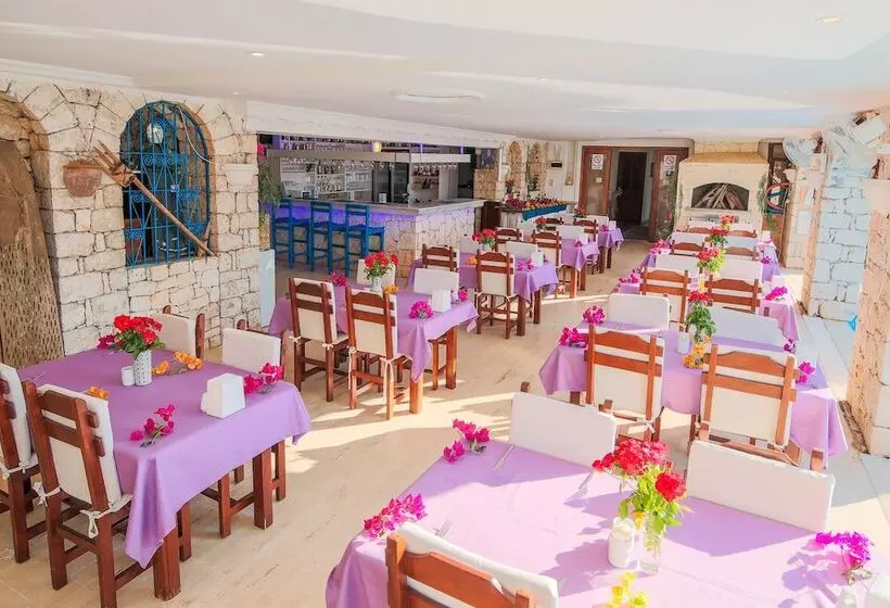 בית מלון כפרי Amphora