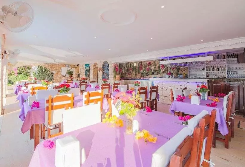 בית מלון כפרי Amphora