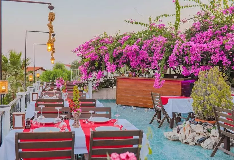 בית מלון כפרי Amphora