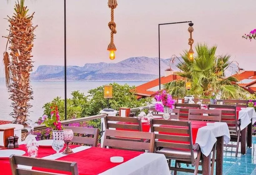 בית מלון כפרי Amphora