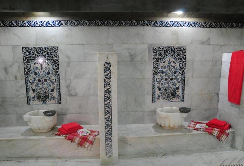 בית מלון כפרי Atapark