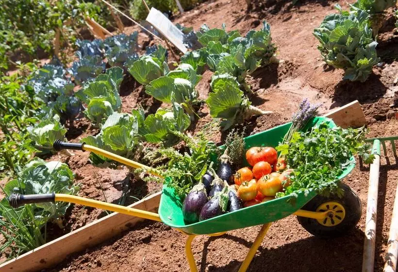 Отель Club Jandía Princess