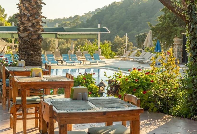 فندق Club Pink Palace