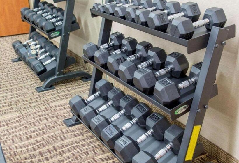 Szálloda Quality Inn Dfw Airport North