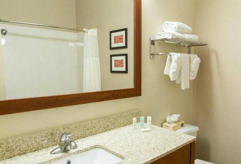 Szálloda Quality Inn Dfw Airport North