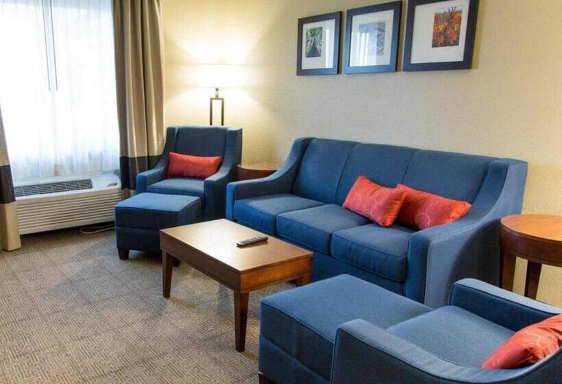 Szálloda Quality Inn Dfw Airport North