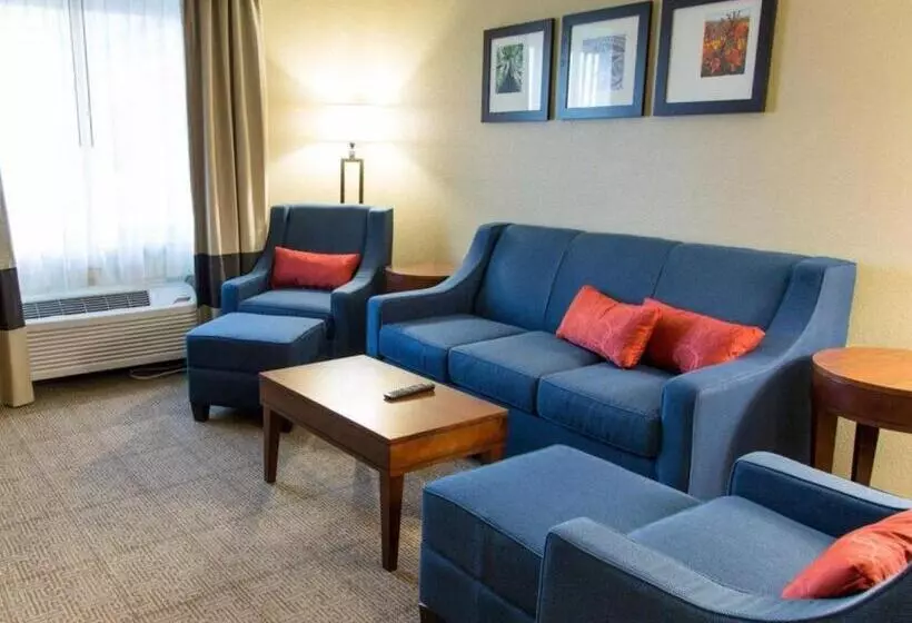 Hotel Quality Inn Dfw Airport North