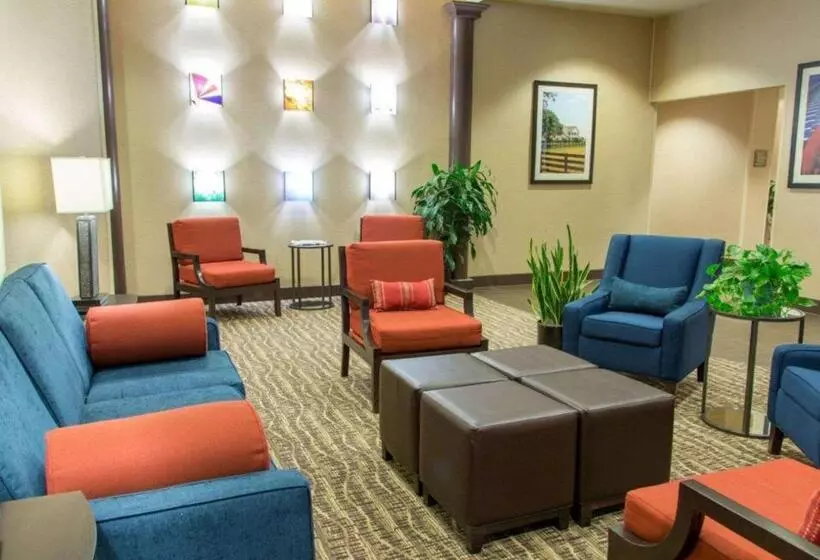 Hotel Quality Inn Dfw Airport North