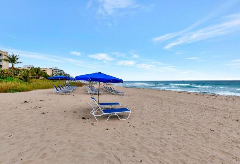 فندق Tideline Palm Beach Ocean Resort And Spa