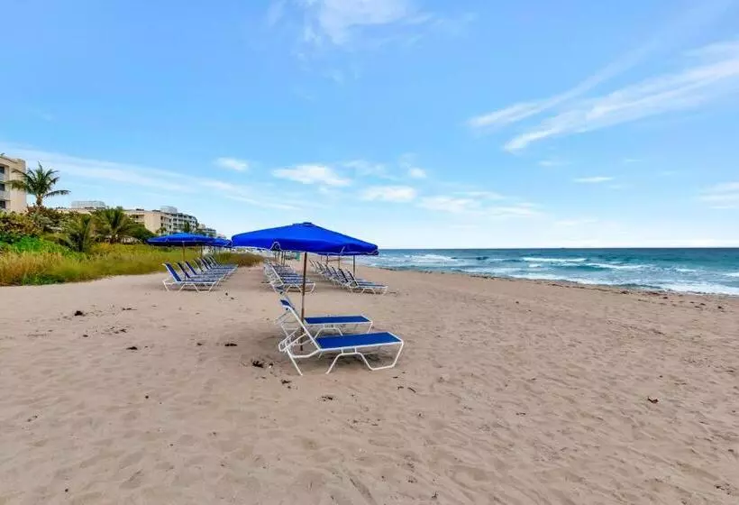 هتل Tideline Palm Beach Ocean Resort And Spa