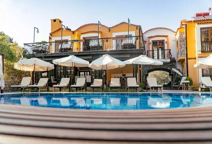 The Olive Tree Studios   Adults Only