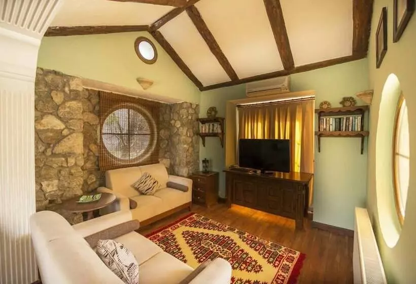 The Olive Tree Studios   Adults Only