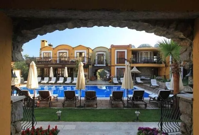 The Olive Tree Studios   Adults Only